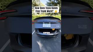 How Does Hands Free Trunk Work on My Tesla 🤔😳 [upl. by Dnalwor]