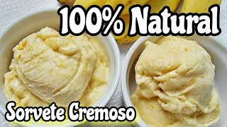 💥NUNCA MAIS PAREI de fazer o SORVETE cremoso caseiro 100 NATURAL [upl. by Solokin]