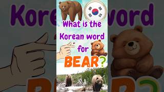 Lets learn Korean korean koreanlanguage korea koreanlearner kpop kdrama shorts learnkorean [upl. by Darsie207]