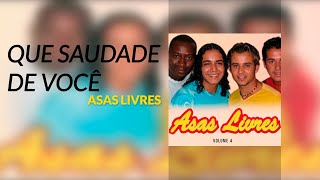 Asas Livres  Que Saudade de Você Áudio Oficial Volume 4 [upl. by Egarton323]