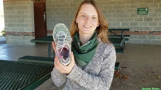 Outdoor hiking shoe review Asics and others [upl. by Maite]