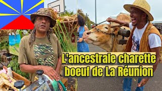 Immersion Fête Créole à la RÉUNION  Découvrez lîle sans filtres EP Bonus [upl. by Janaya78]