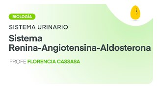 Sistema ReninaAngiotensinaAldosterona  Biología  Sistema Urinario  V5  Egg Educación [upl. by Alamac351]