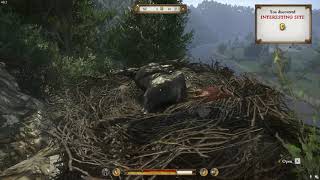 Kingdom Come Deliverance How to get Horse Armor chanfron and criniere from the cliff near Ledetchko [upl. by Jaban427]