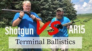 12ga Shotgun Vs Ar15 Terminal Ballistics [upl. by Berner]