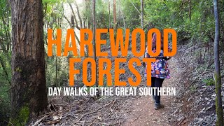 Harewood Forest Walk Trail  Day Walks of the Great Southern Denmark Western Australia [upl. by Thynne]