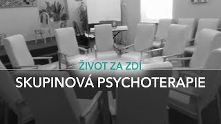 20 DÍL SKUPINOVÁ PSYCHOTERAPIE [upl. by Eiramanad]