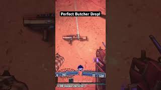 Isn’t it pretty gaming borderlands borderlands2 raredrop perfect [upl. by Nasho]