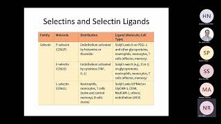 Abbas 3 Leukocyte Circulation and Migration into Tissues Raje 2021 [upl. by Jethro585]