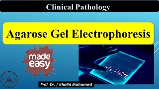 Agarose Gel Electrophoresis step by step easy guide [upl. by Ahsirkal]