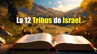 Las 12 Tribus de Israel  Tiempos Bíblicos [upl. by Knitter537]