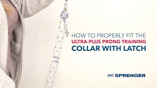 How to Get the Proper Fit Herm Sprenger UltraPlus Prong Dog Training Collar with Latch [upl. by Ainolloppa59]