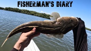 Dohles Rocks Trolling  Flounder Flathead Bream Whiting  Fishermans Diary Ep 659 [upl. by Tychon]