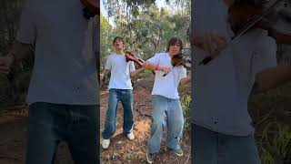 TITANIUM David Guetta violin violinist violincover titanium davidguetta dance viralvideo [upl. by Arraes685]