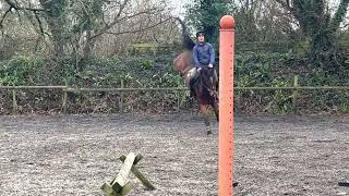 Bucking Horse Top level event horse returning to work after 18 months Box rest [upl. by Nelle]