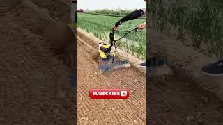 Micro tillage machine use process Good tools and machinery make the work easy [upl. by Aimekahs889]