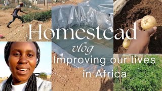 A different village lifestyle  Couple strives to improve their Homestead  Living in Africa [upl. by Nerita]