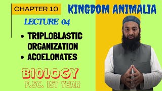 Triploblastic organization and Acoelomates I Chapter 10 I FSc I First Year I biology I Lec 4 [upl. by Adnot]