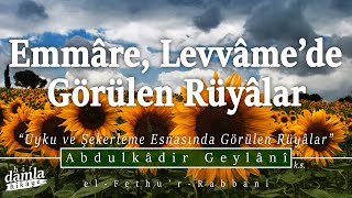 Emmâre Levvâme ve Mülhimede Rüyâ  UYKU VE ŞEKERLEME ESNASINDA GÖRÜLEN RÜYÂLAR  Sırrul Esrar [upl. by Arytal]