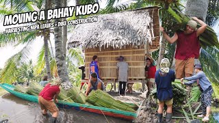 MOVING A BAHAY KUBO  HARVESTING NIPA LEAVES  DIKE CONSTRUCTION  LIFE IN THE FISHPOND [upl. by Yerocaj]