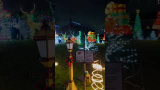 Charity house Christmas lights short [upl. by Nerat]