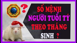 SỐ MỆNH NGƯỜI TUỔI TÝ THEO THÁNG SINH ÂM LỊCH THẾ NÀO Tuổi Tý sinh 1948 1960 1972 1984 1996 [upl. by Viridis]