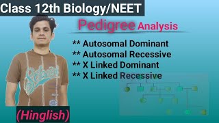 Pedigree analysis Hinglish Biology class 12th botany neet neet2025 cbse biology [upl. by Nitsej]