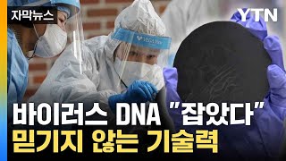 자막뉴스 국내 연구진의 놀라운 기술력 획기적으로 감염 밝혀내  YTN [upl. by Melli]