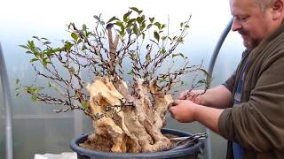 Copy of Is That Even Possible  Bonsai by Graham Potter [upl. by Chandos303]