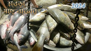 Howrah fish market  Fish price in Kolkata  fishmarket prawns fishbazar [upl. by Haliehs183]