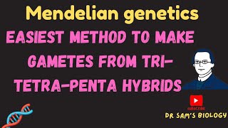 Easiest way to Make Gemetes from TriTetraPenta Hybrids in Genetics [upl. by Menell]