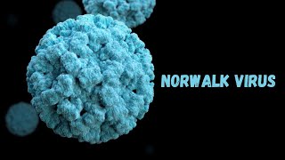 Norwalk Virus Small but Deadly [upl. by Lezley]