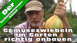 Gemüsezwiebeln im Garten richtig anbauen [upl. by Oiliruam]