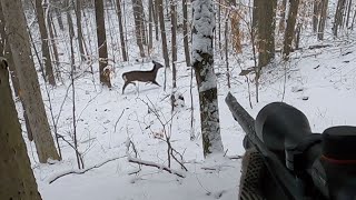 Big Woods Muzzleloader Hunting  Vermont [upl. by Baugh]