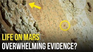 Perseverance Finds Evidence of Life on Mars This Rock Shocked NASA [upl. by Powell989]