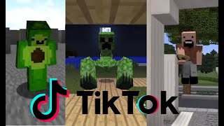 Avocados From Mexico 🥑⛏ Minecraft TIK TOK Compilation [upl. by Nalon510]