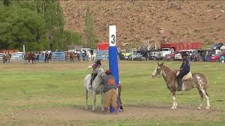 Jineteada Gobernador Costa Franco Soto  Broches de Oro gurupa  Fiesta del Caballo 2023 M3 [upl. by Erdreid]