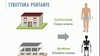 Abitazione  Struttura portante  Classi 2 [upl. by Ane]