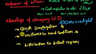 Biology  Reproduction  L4  Sporogony [upl. by Sylvie]