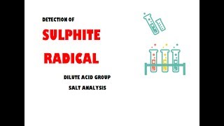 SUPHITE RADICAL  DILUTE ACID GROUP  SALT ANALYSIS  ALL PUNJAB BOARD PRACTICALS [upl. by Safoelc]