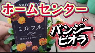 【パンジービオラ】ホームセンターだけで揃えた！！購入苗の紹介 [upl. by Goeselt]