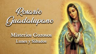 27º ROSARIO GUADALUPANO 🌷 Misterios Gozosos 🌷 Del 28 de octubre al 12 de diciembre [upl. by Pheni]