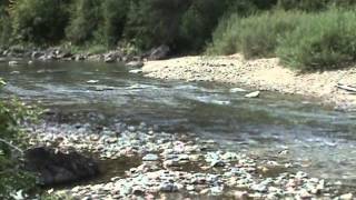 McDonald Creek Glacier National Park Montana [upl. by Harolda]