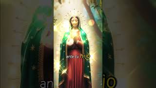 virgendeguadalupe amor fe oración a la virgen de Guadalupe [upl. by Nauq]