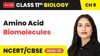 Amino Acid  Biomolecules  Class 11 Biology Chapter 9 live [upl. by Onavlis]