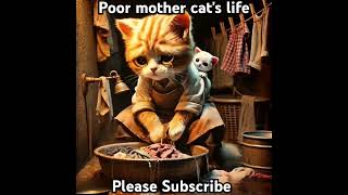 Poor mother cats life cat catvideos catstory mother [upl. by Sellers]