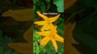 Gummare gummagumma Bathukamma Songs 2024 Madu Priya bathukamma songs yt shorts RajjuManu Nature [upl. by Eniac199]