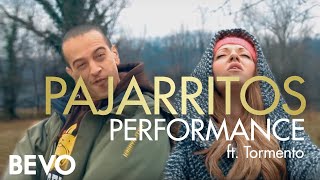 Pajarritos  Performance  ft Tormento official video [upl. by Anuahsed568]