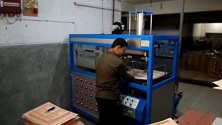 china small thermoforming machine of flocking pallets [upl. by Anaynek]