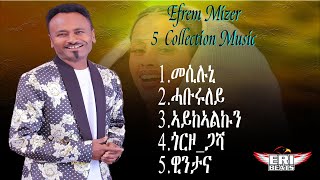 New Eritrean Music Efrem Arefaine Mizer [upl. by Leggett96]